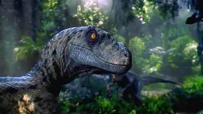 Jurassic Velociraptor Raptors Homebrew Monster