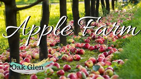 Apple Farm In Oak Glen Yucaipa Sept 21 2019 Part 1 Youtube