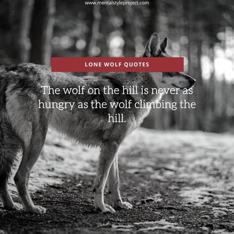 40 Inspirational Lone Wolf Quotes To Motivate You Msp