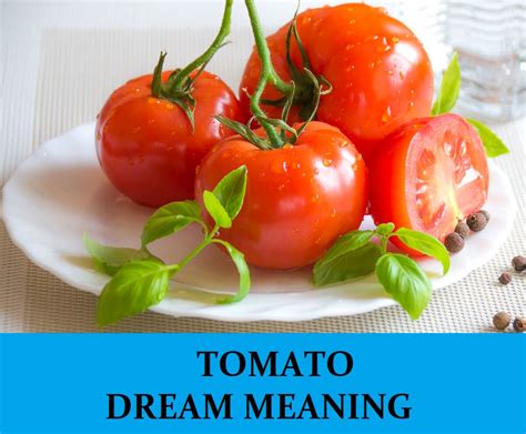 Pomidorų Sapnų Prasmė 6 Populiariausi Sapnai Apie Pomidorus Sapnininkas