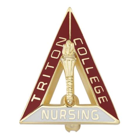Gold Adn Nursing Pins