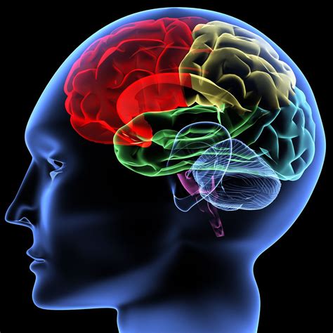 Psychology Brain Hd Wallpapers Top Free Psychology Brain Hd