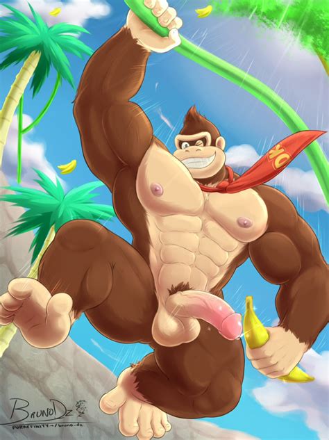 Donkey Kong Country Serie