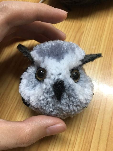 Owl Pom Poms Crafty Amino