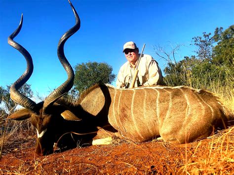 Southern Greater Kudu Hunting With Bos En Dal Safaris