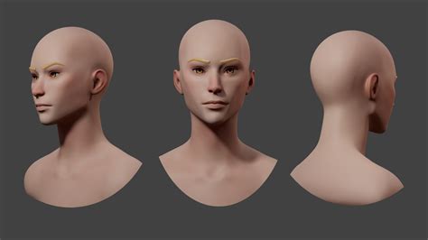 Artstation Stylized Androgynous Head Basemesh Resources