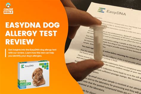 Easy Dna Dog Allergy Test Reviews 2024 — Discover Dog Allergies My Dog