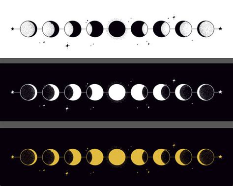 351200 Moon Phases Illustration Stock Illustrations Royalty Free