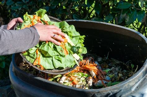 Composting 101 A Guide To Reusing Kitchen Scraps For Gardening