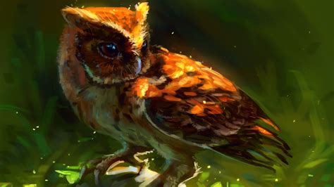 Owl Arts Hd Artist 4k Wallpapers Images Backgrounds Photos And