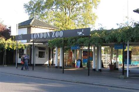 Disabled Visitor Suing London Zoo For £300k After Staff Member