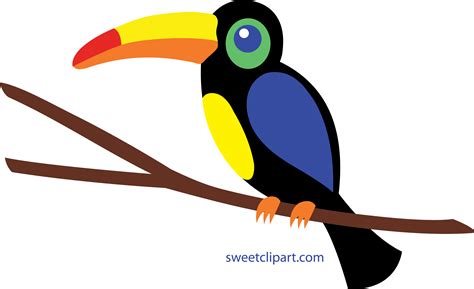 Piciformes Clipart 20 Free Cliparts Download Images On