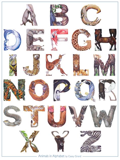 Animals In Alphabet Poster On Behance