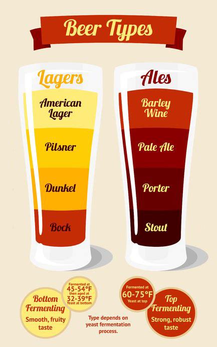 The Three Main Types Of Beer Ales Stouts And Lagers Abbeybrewinginc