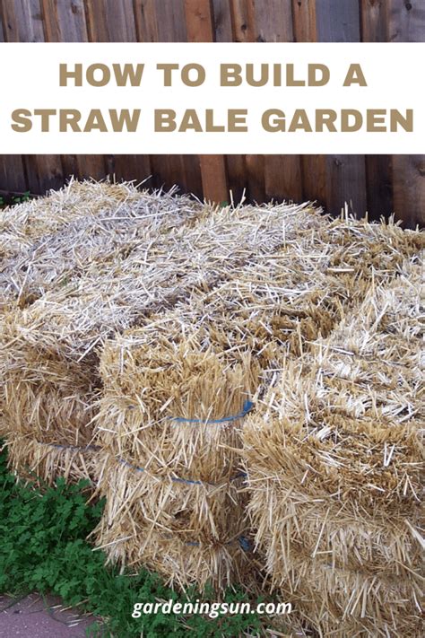 How To Build A Straw Bale Garden Gardening Sun