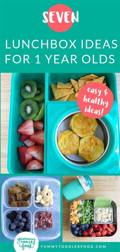 We aim to combine a protein, a cooked vegetable, and a raw food like cucumber or sauerkraut with every meal. 15 Easy Lunch Ideas for 1 Year Olds (For Home or to Pack ...