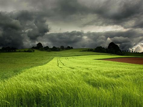 Green Field Wallpapers Top Free Green Field Backgrounds Wallpaperaccess