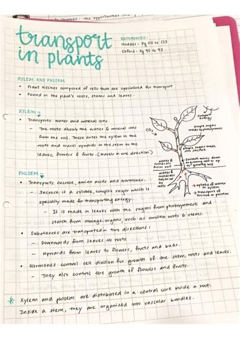 Solution Transport In Plants Biology Imp Handwritten Notes For Class Th Ssc Cbse Class