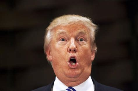 Trump Stupid Face Blank Template Imgflip