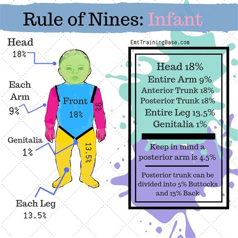 This rule of nines calculator calculates the percentage of a person's body that is covered in burns, referred to as the total body surface area. Rule of Nines for EMS | Rule of nines, Nursing school tips ...