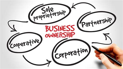 Basics Of Business Structure Choosing The Right Entity For Your Biz