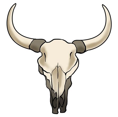 Bull Skull Svg Cow Skull Outline Svg Png Dxf Files Fo