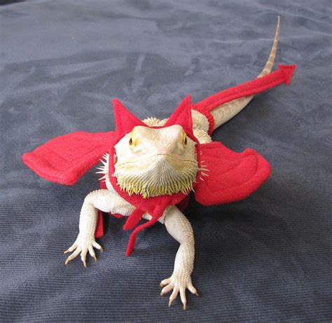 20 Bearded Dragon Costumes Every Owner Will Want Vivarium World