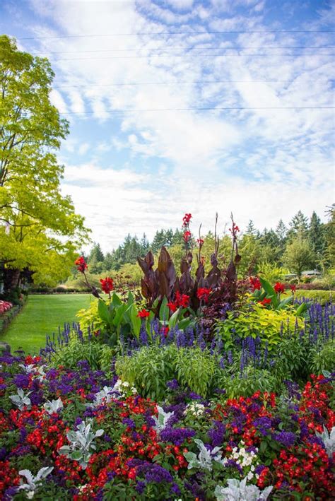 Bright Flowers In Butchart Gardens Victoria Bc Canada Stock Photo