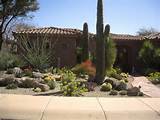 Pictures of Yard Landscaping Desert