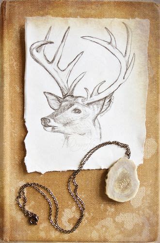 Endofmarch Oh Deer Via Deer Sketch