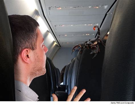United Airlines Passenger Stung By Scorpion