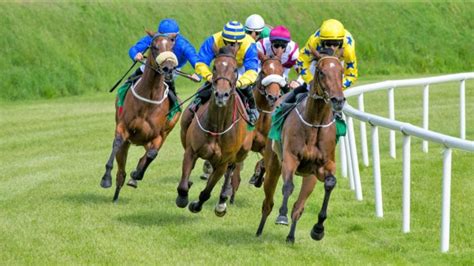 Common Types Of Horse Racing Explained