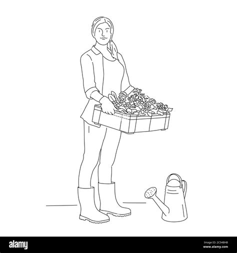 Line Drawing Of Gardener Woman With A Box Of Flowers And Watering Can