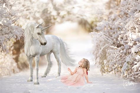 Christmas Unicorn Under A Snowy Arch Christmas Backdrop Etsy