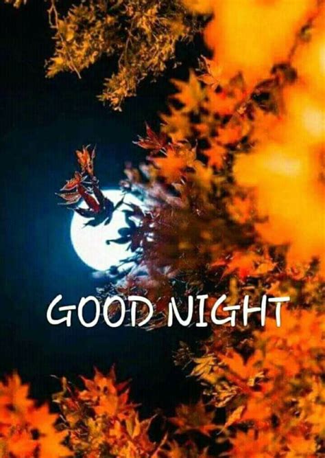 Pin By Narendra Pal Singh On Good Night Good Night Good Night Image