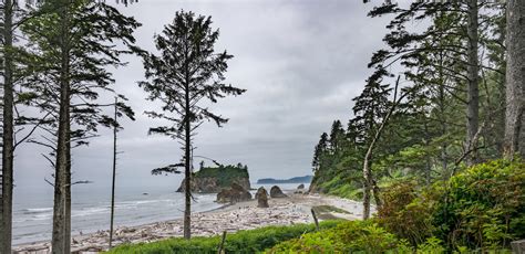 Location Olympic National Park Washington Photo Basecamp