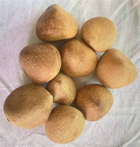 Dry Whole Coconut 500gm Packet Koseli Xpress Send Ts To Friends