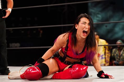 Hikaru Shida Cites Travel Issues Not Injury For Owen Hart Cup Withdrawal