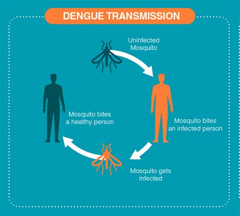 Dengue Signs And Symptoms Dr Lal Pathlabs Blog