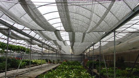 Shade Cloth For Greenhouses How And When To Put Shade Cloth On A