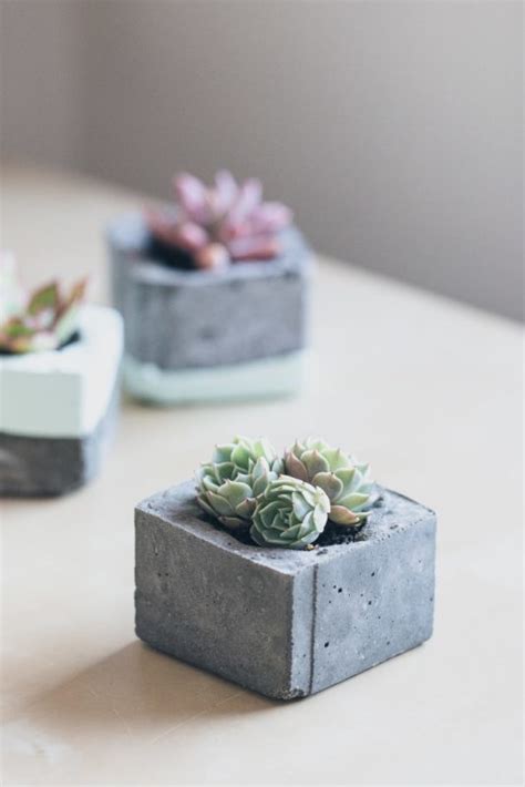30 Beautiful Succulent Planter Ideas To Display Their Full Glory