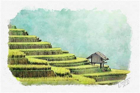 Rice Terraces In Thailand Painting By Dreamframer Art Pixels