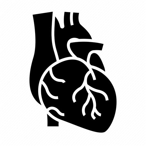 Cardiac Heart Specialist Icon Download On Iconfinder