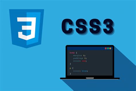Css Basico Frontend Hot Sex Picture