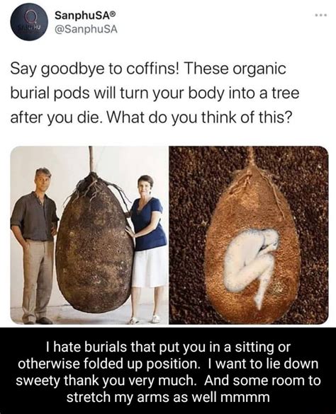 Say Goodbye To Coffins These Organic Burial Pods Will Turn Your Body Into A Tree After You Die