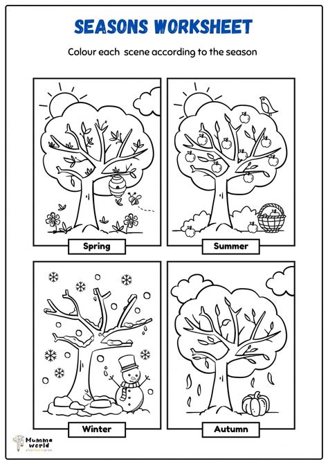 The Four Seasons Worksheet