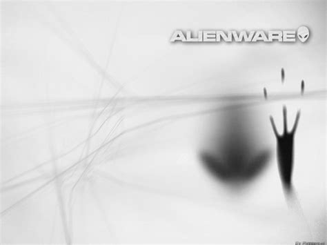 Alienware Wallpaper 4k White