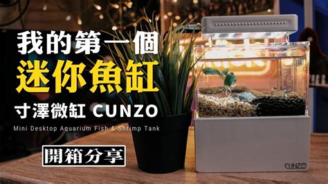 佈置我的第一個迷你小魚缸｜寸澤微缸｜cunzo Mini Desktop Aquarium Fish And Shrimp Tank｜開箱分享