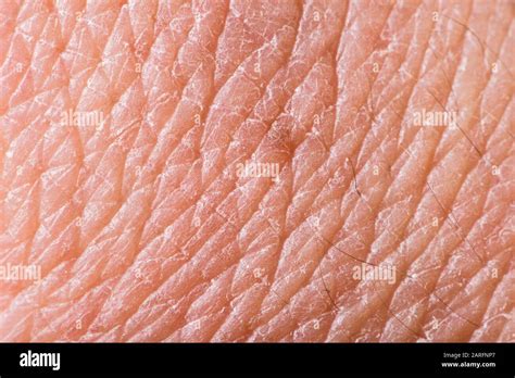 Human Skin Macro High Resolution Stock Photography And Images Alamy