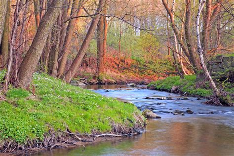 Frühling Am Bach Foto And Bild Landschaft Bach Fluss And See Bachläufe